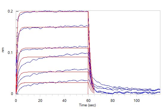 Mouse PD-1 / PDCD1 Protein, His Tag (MALS verified)