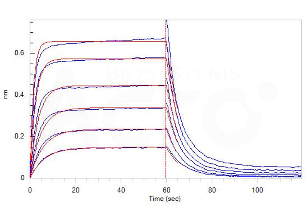 Cynomolgus PVRIG Protein, Fc Tag (MALS verified)
