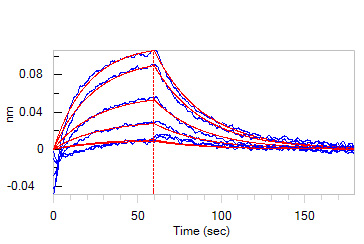 Serum Albumin BLI