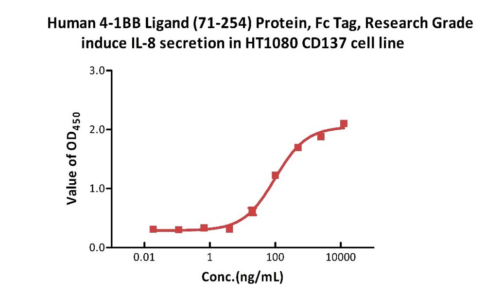 4-1BB Ligand CELL
