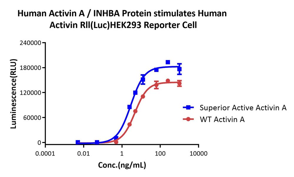 Human Activin A / INHBA Superior Active Mutant Protein, premium grade ...