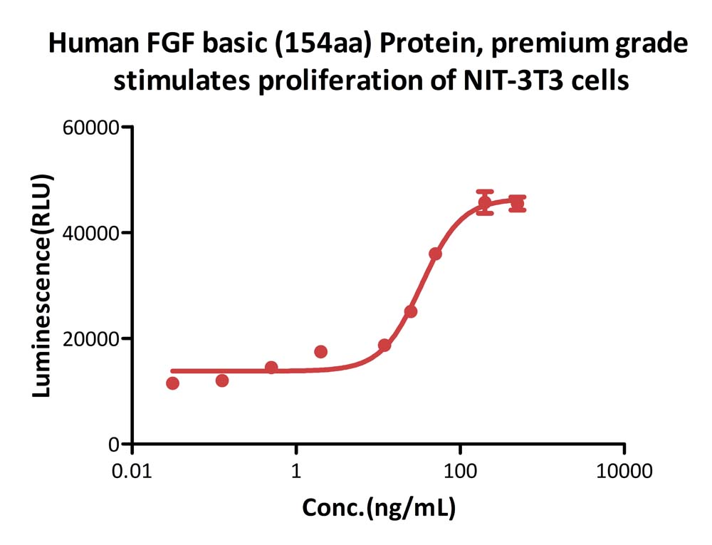 FGF basic CELL