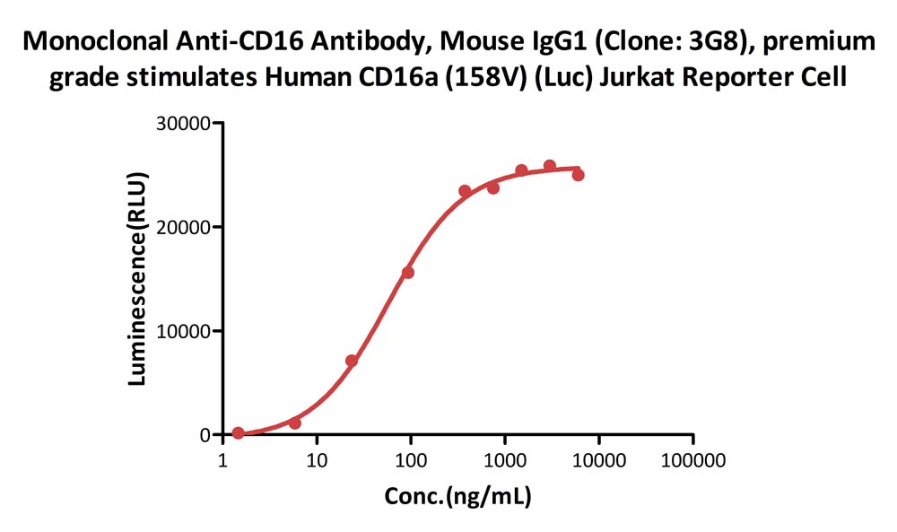 CD16 CELL