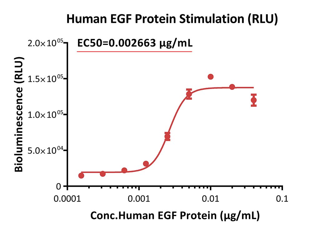 EGFR & LGR5 SIGNALING