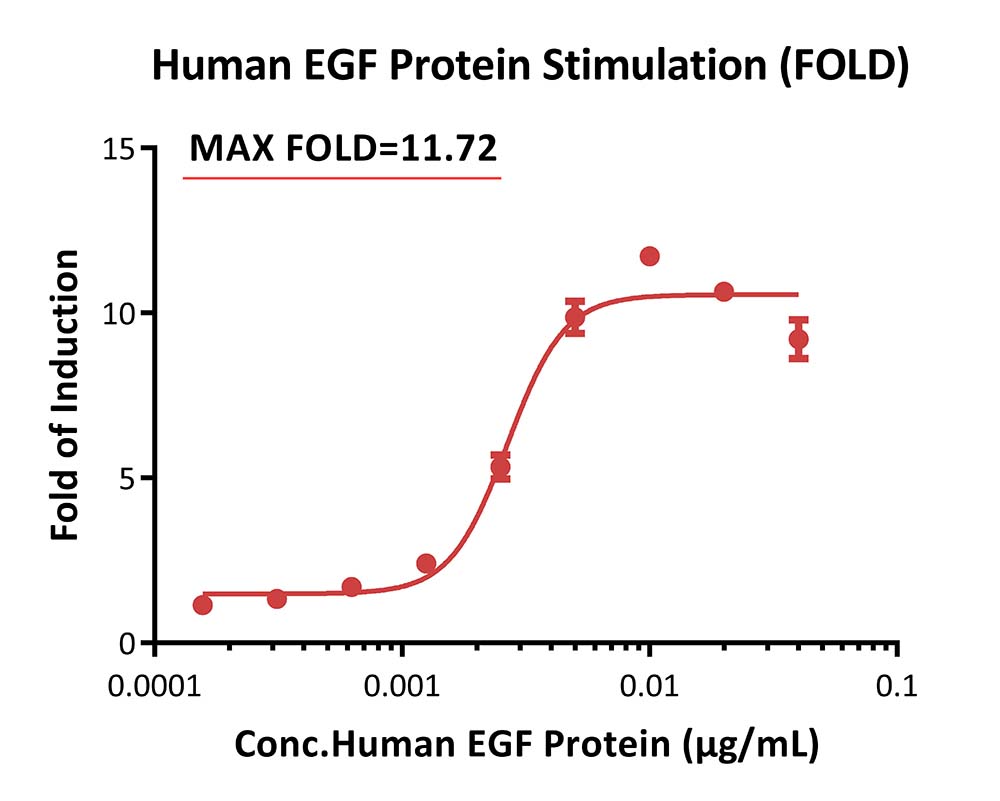 EGFR & LGR5 SIGNALING