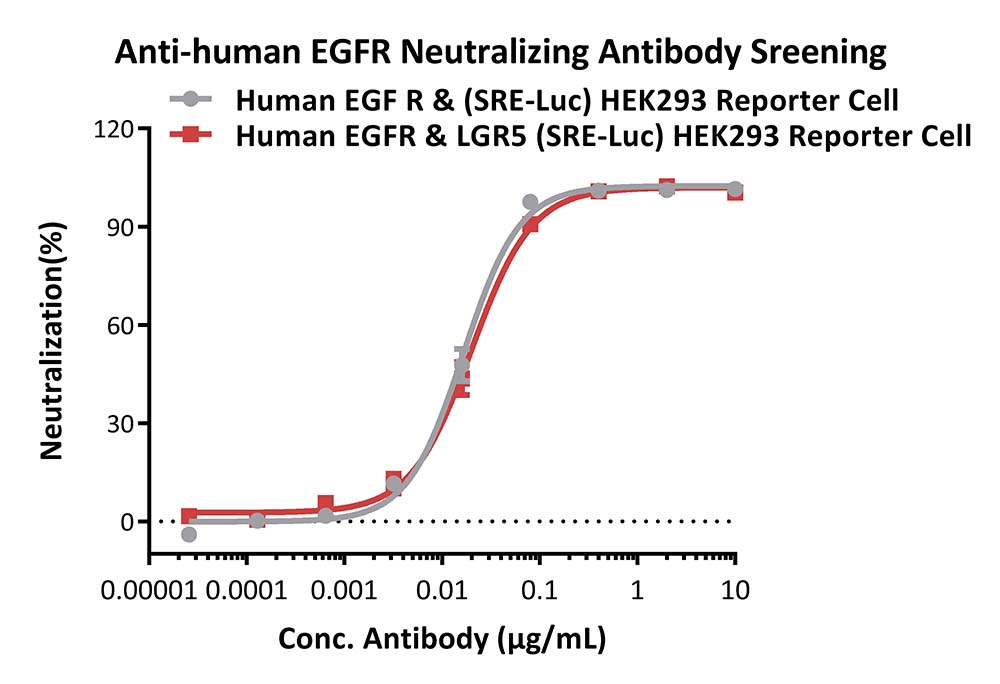 EGFR & LGR5 APPLICATION