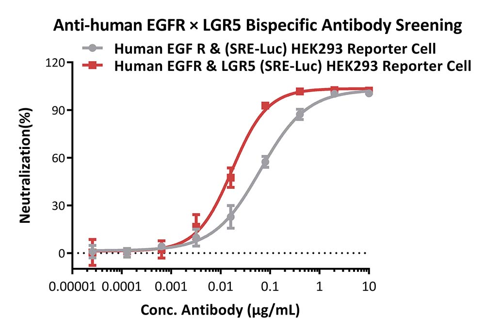 EGFR & LGR5 APPLICATION