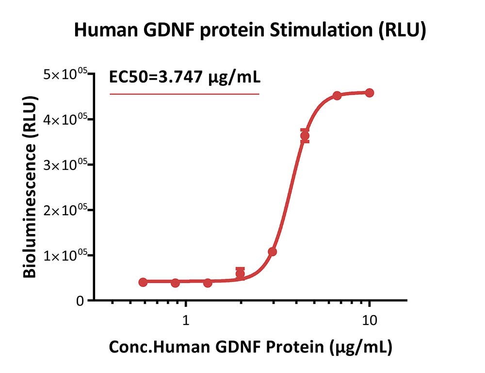 GFR alpha-1 & RET SIGNALING