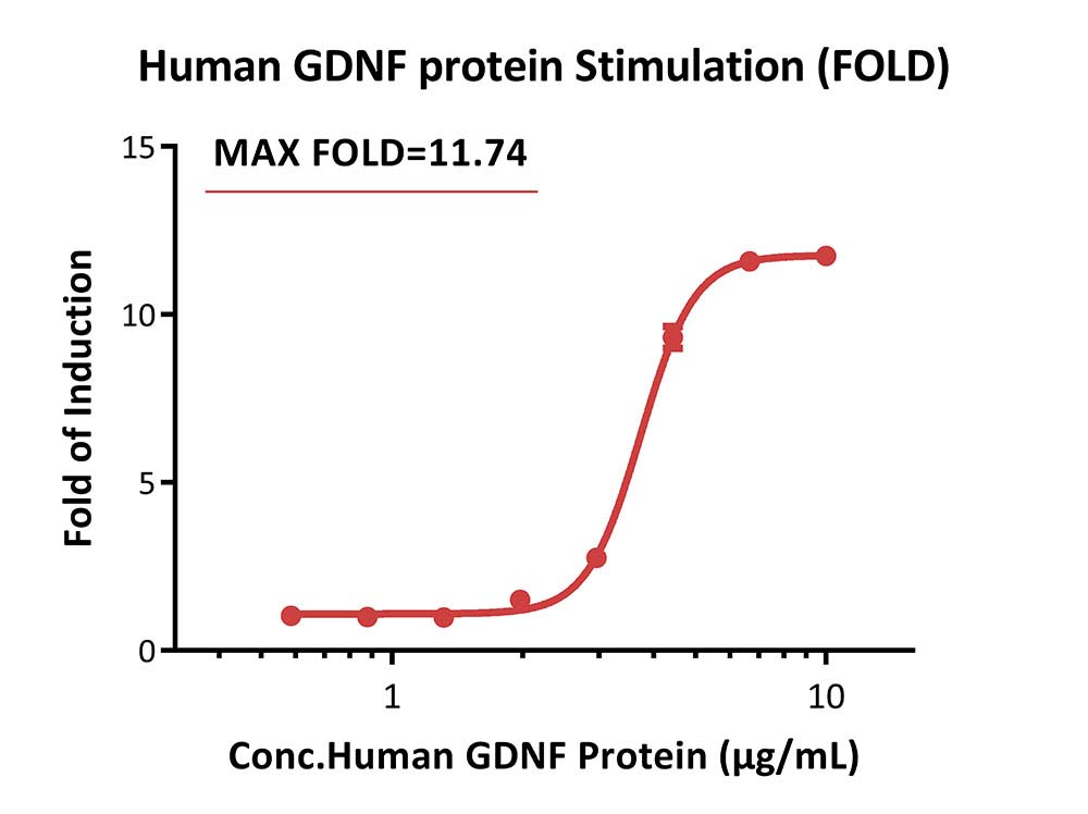 GFR alpha-1 & RET SIGNALING