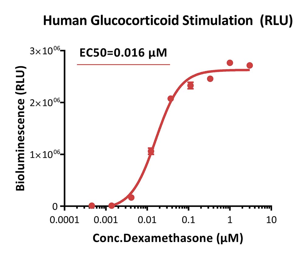 IL-4 R alpha SIGNALING