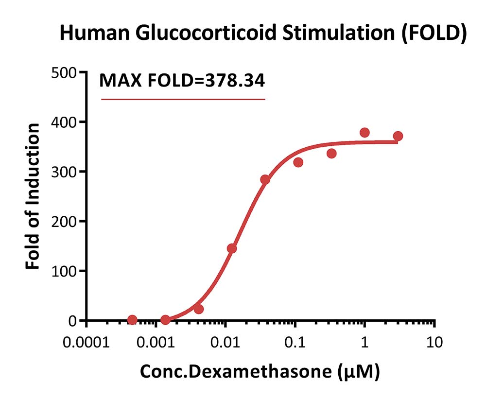 IL-4 R alpha SIGNALING