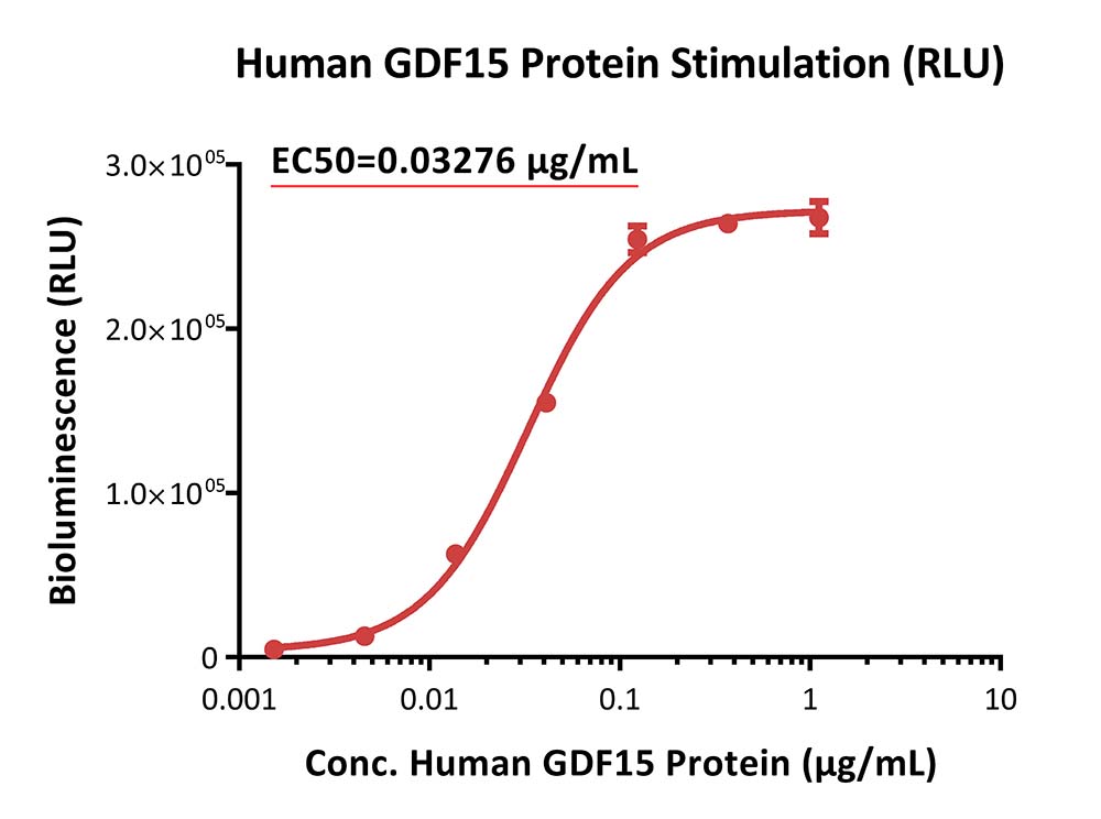 GFRAL & RET SIGNALING