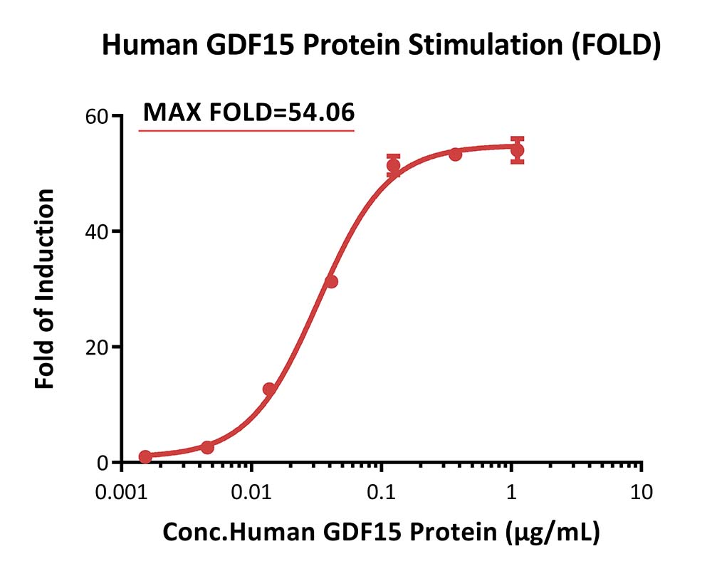 GFRAL & RET SIGNALING