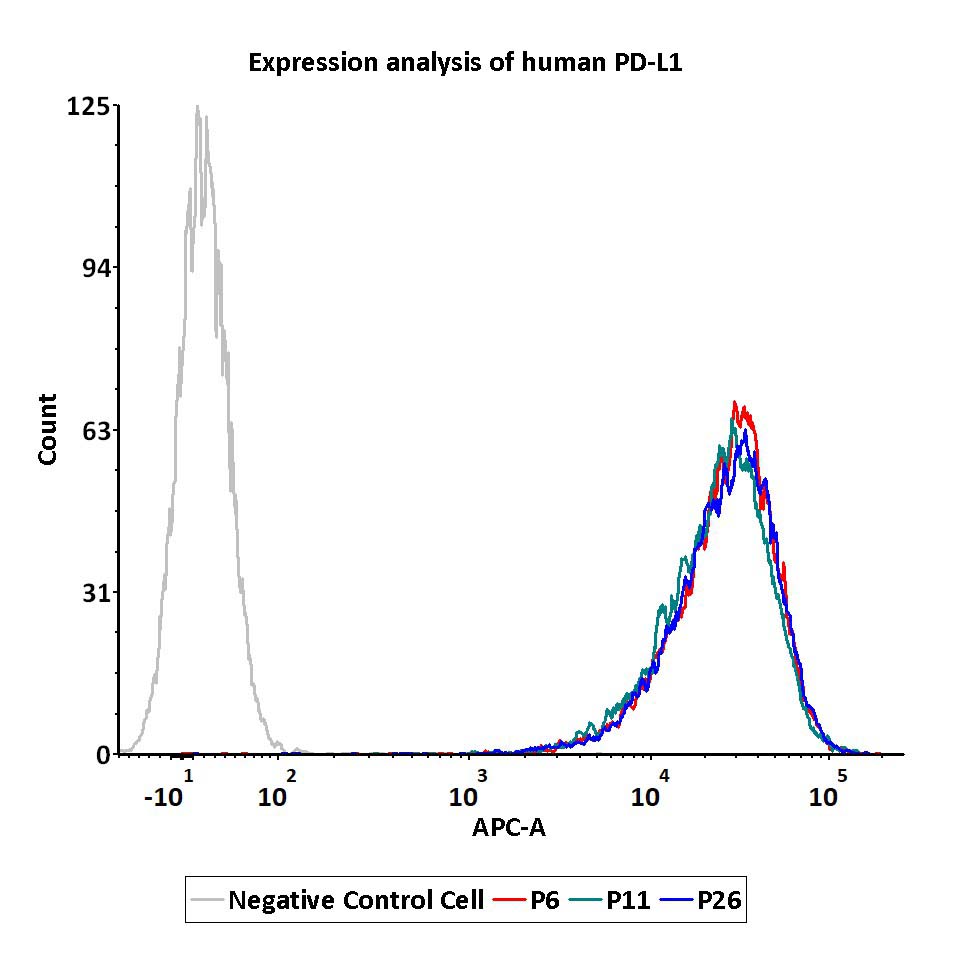 PDL1 PASSAGE