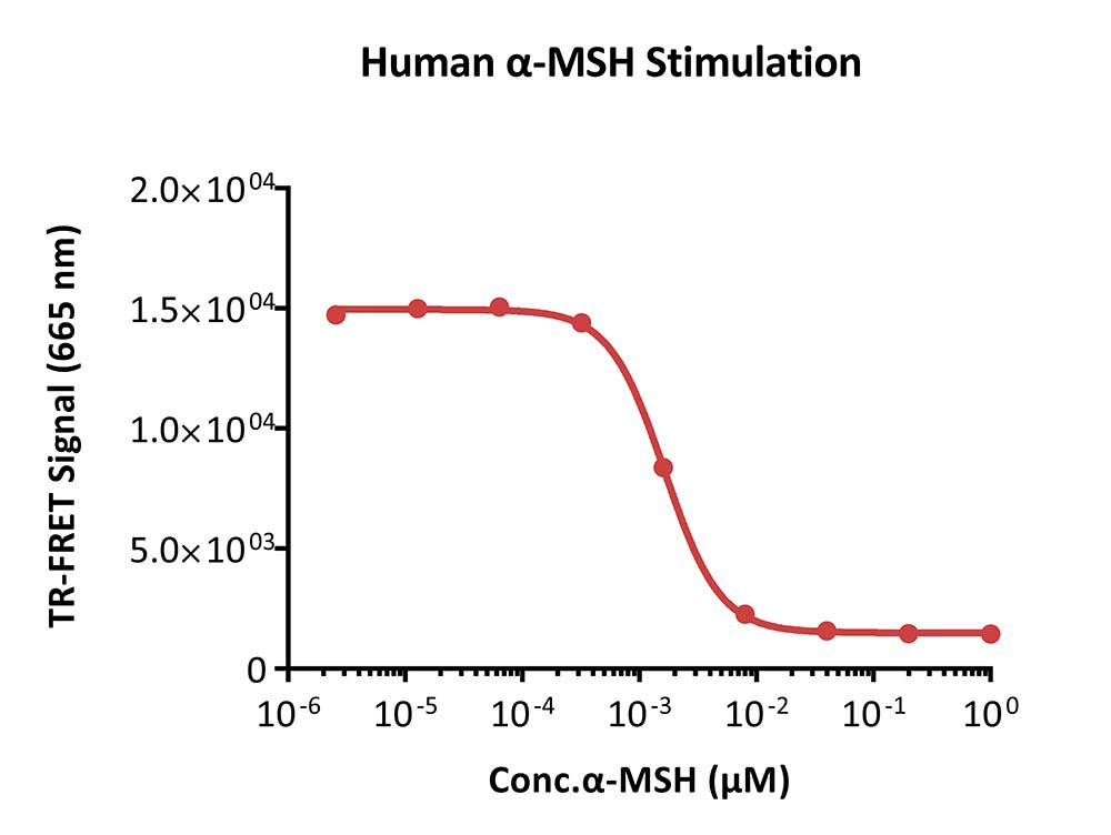 MC4R SIGNALING