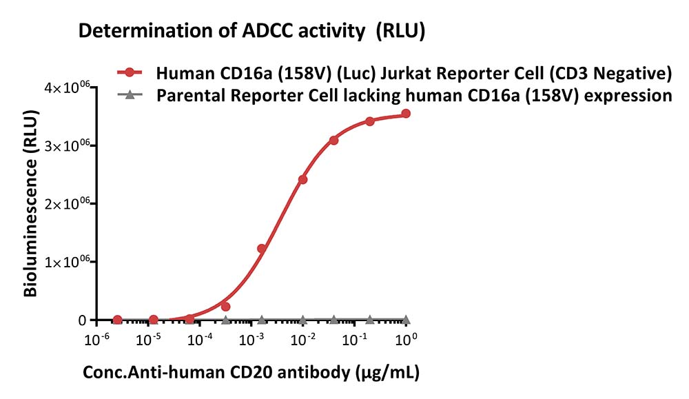 CD16A SIGNALING