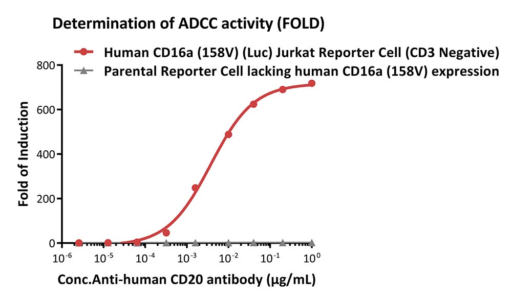CD16A SIGNALING