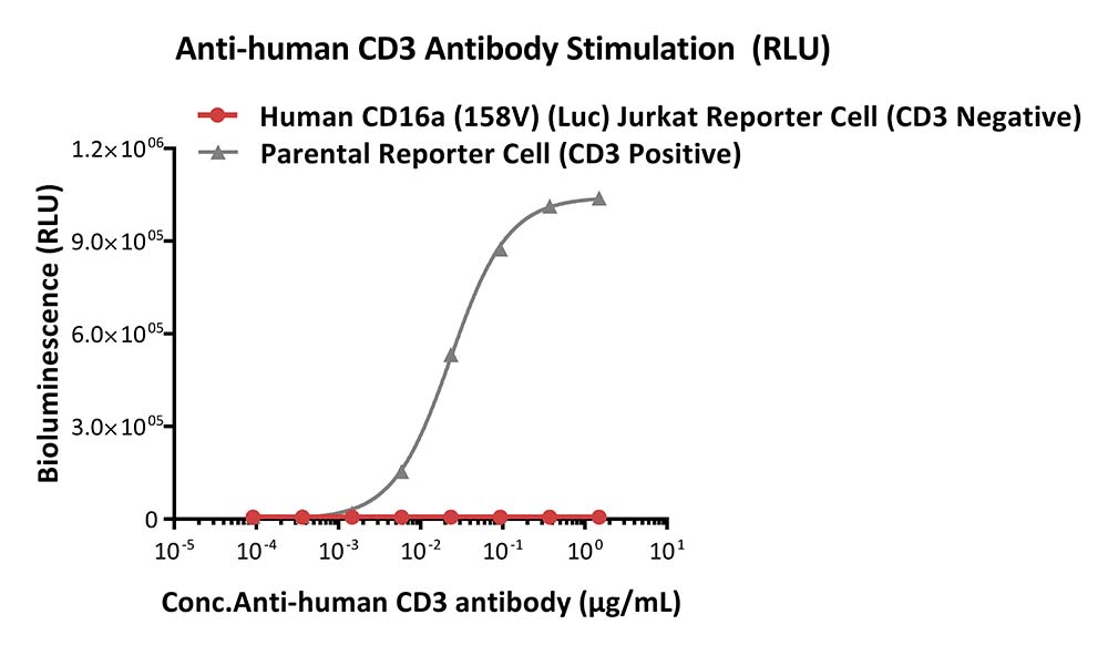 CD16A SIGNALING