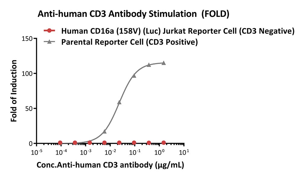 CD16A SIGNALING