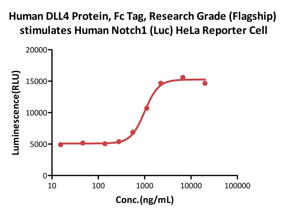 Human DLL4 Protein, Fc Tag, Research Grade (Flagship)