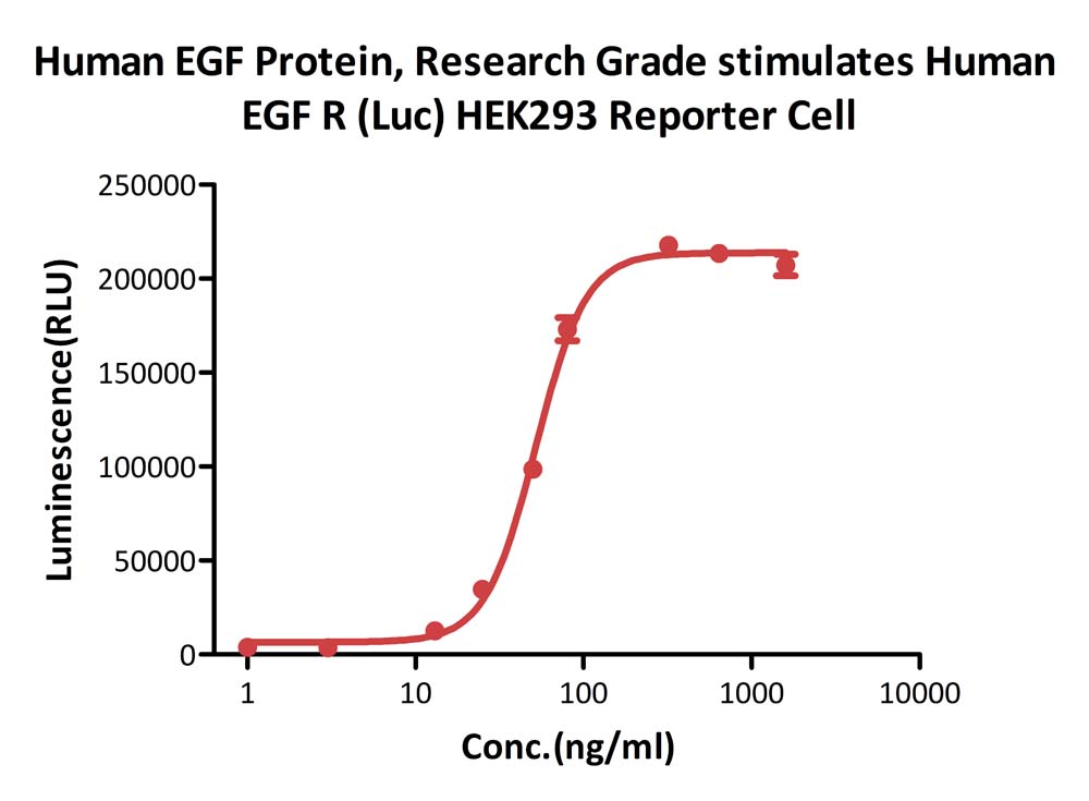 EGF CELL
