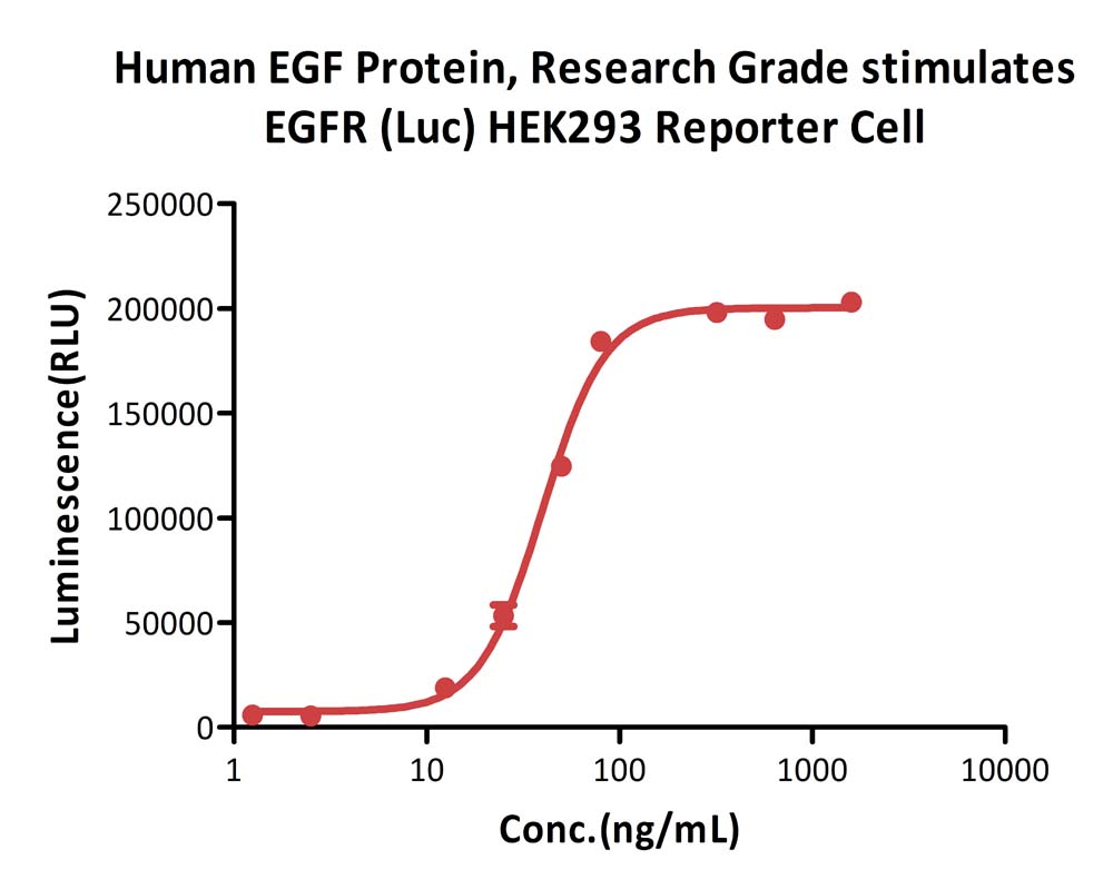 Human EGF Protein, Research Grade