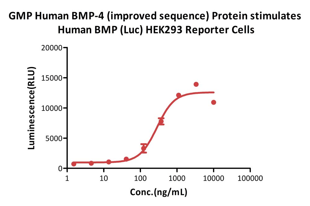 GMP Human BMP-4 / BMP2B (improved sequence) Protein