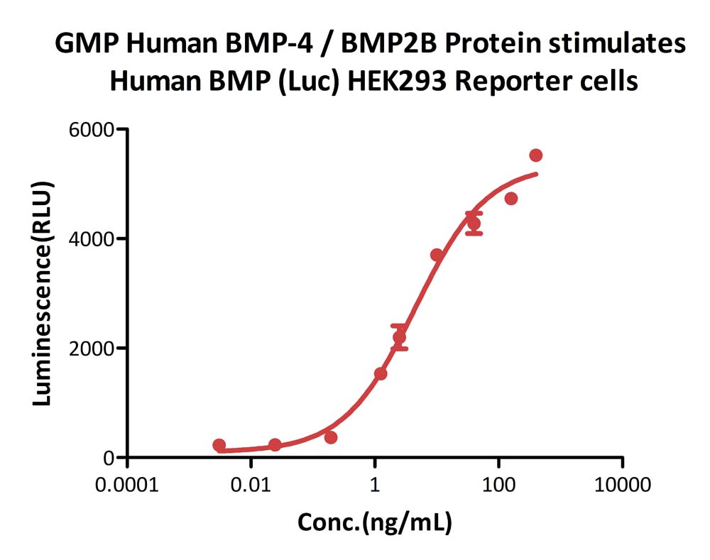 GMP Human BMP-4 / BMP2B Protein