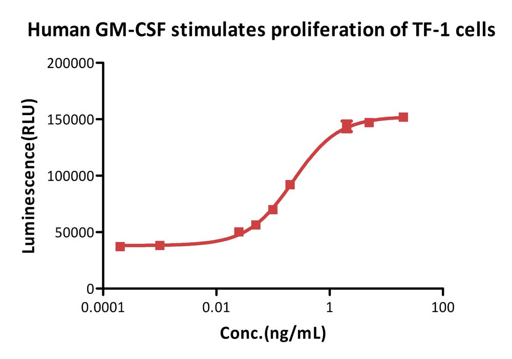 GMP Human GM-CSF Protein