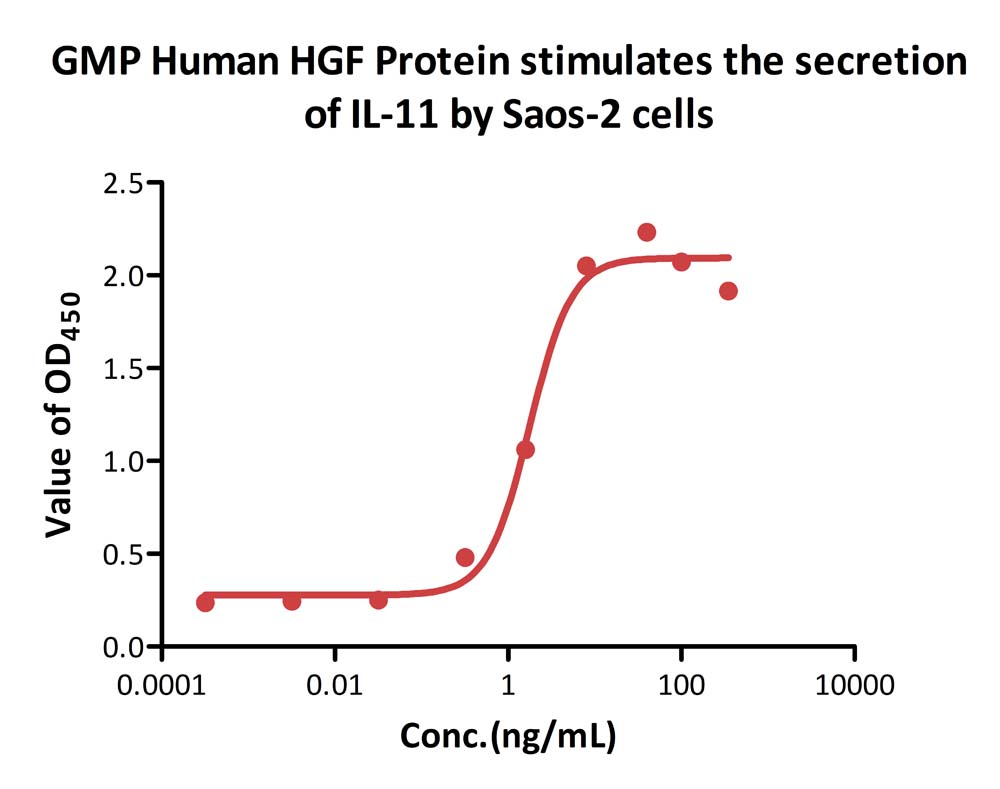 GMP Human HGF Protein