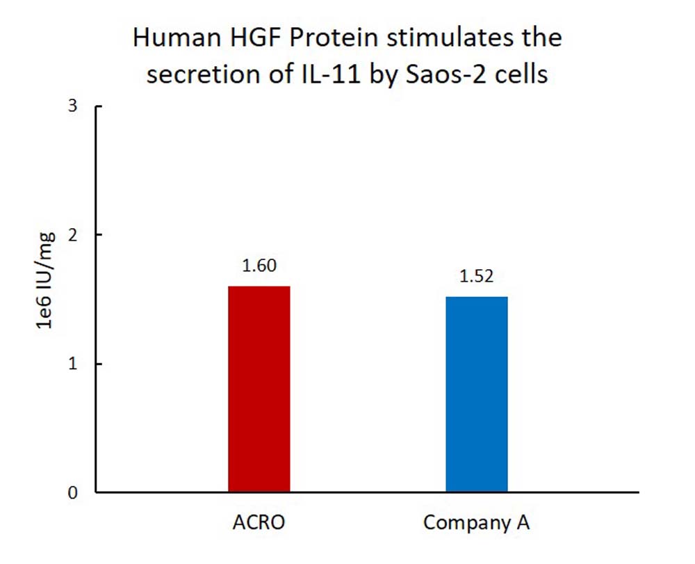 HGF CELL