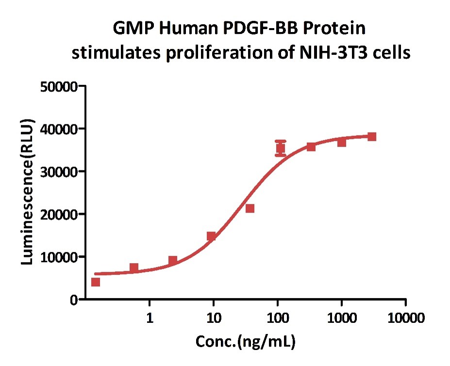 GMP Human PDGF-BB Protein