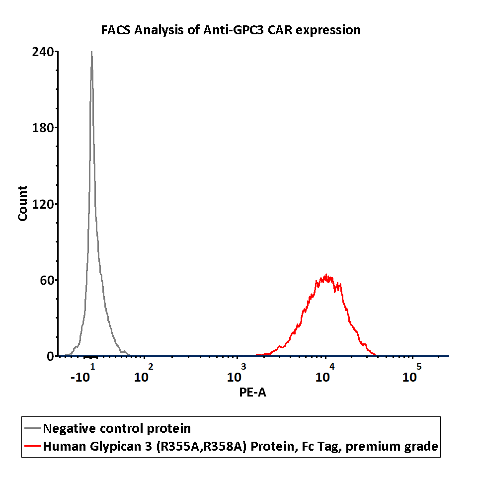 Glypican 3 CELL