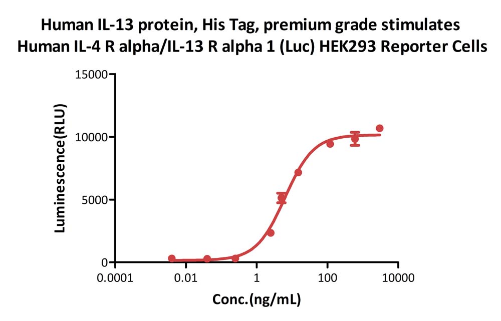 IL-13 CELL