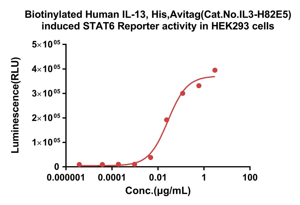 IL-13 CELL