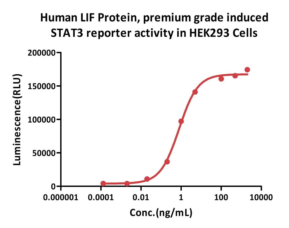 LIF CELL