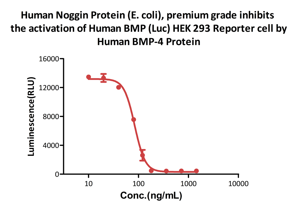 Human Noggin Protein (E. coli), premium grade