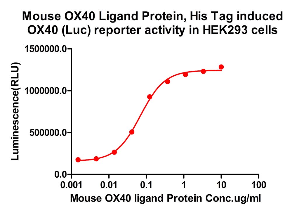 OX40 Ligand CELL
