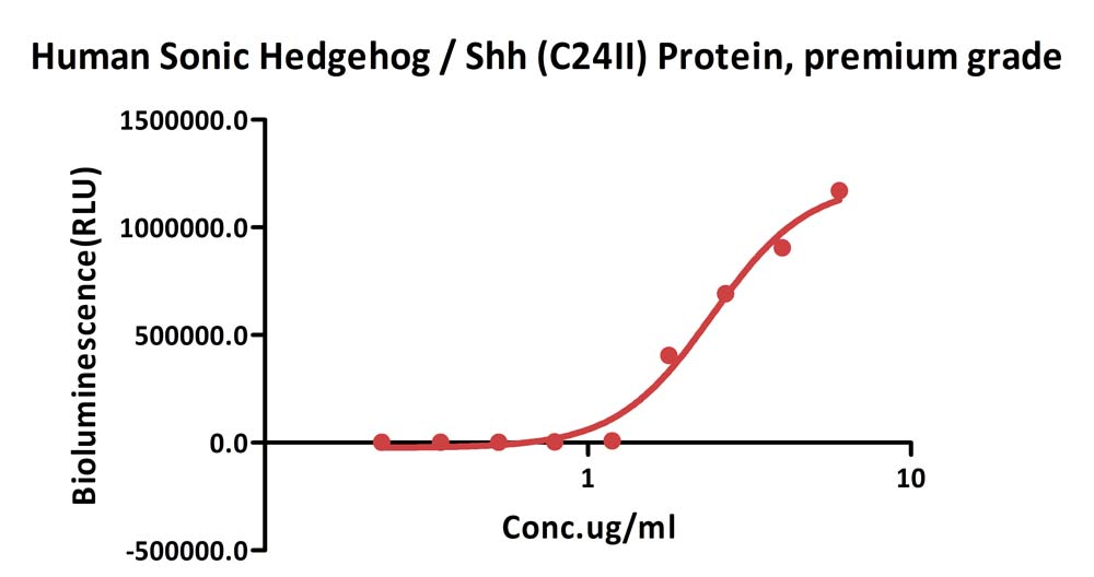Human Sonic Hedgehog / Shh (C24II) Protein, premium grade