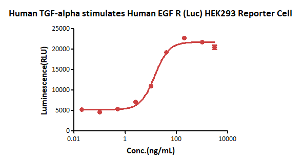 TGF-alpha CELL