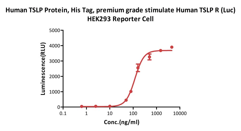 TSLP CELL