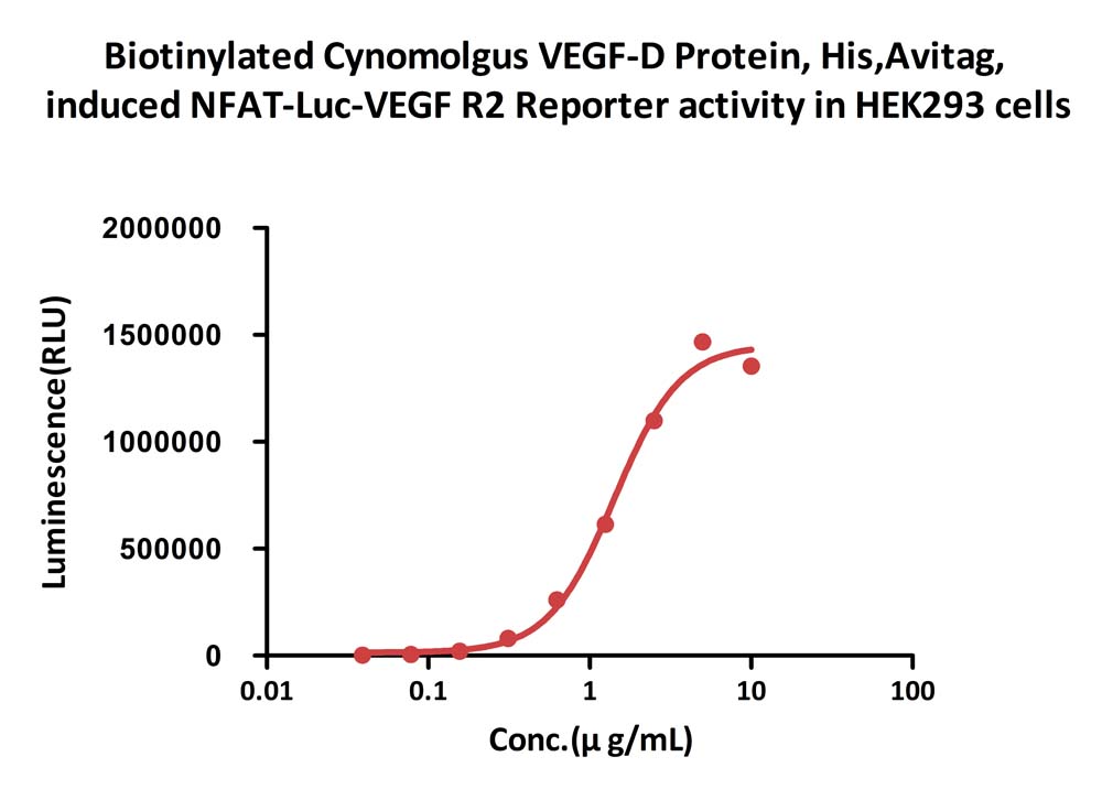 VEGF-D CELL