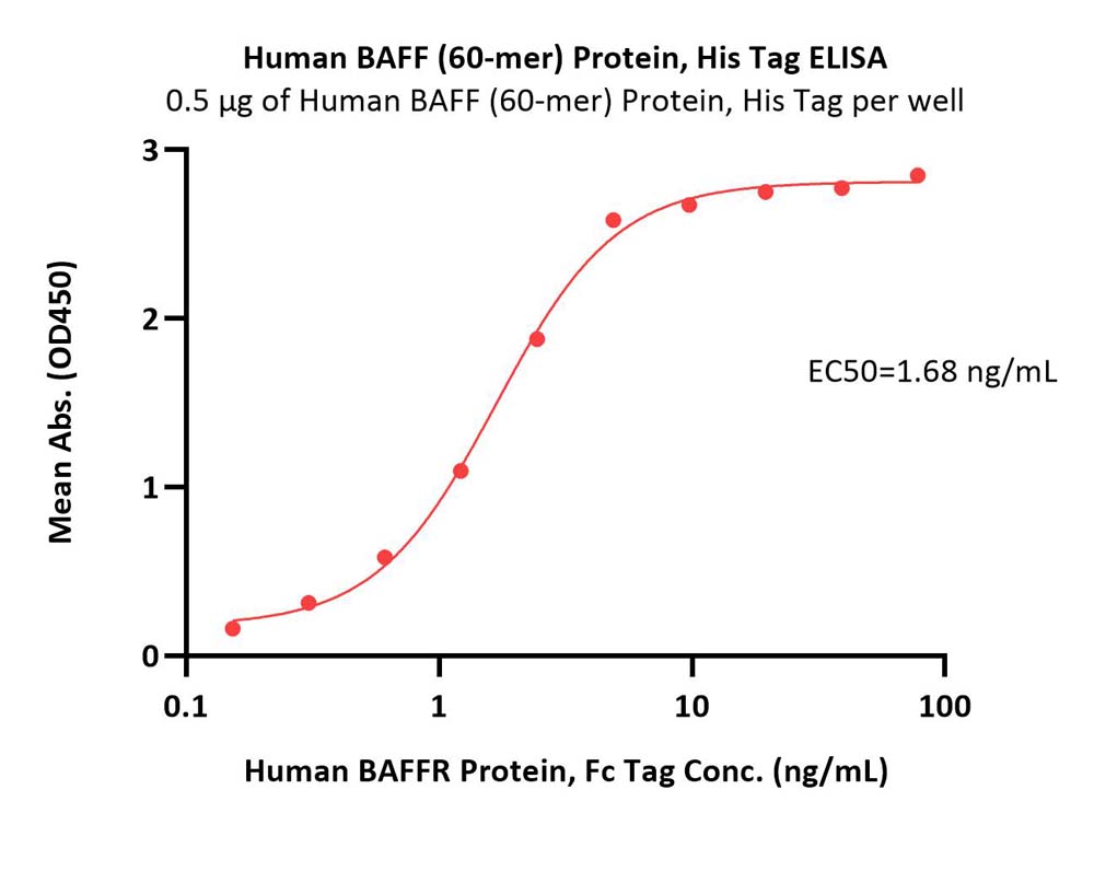 BAFF ELISA