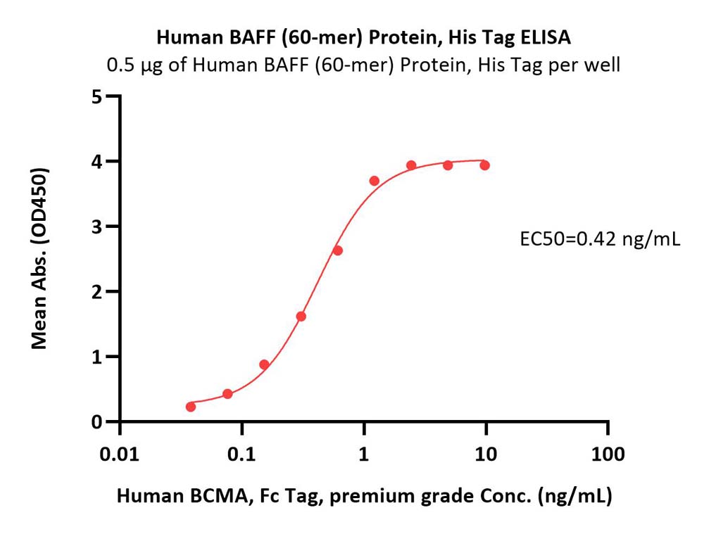 BAFF ELISA