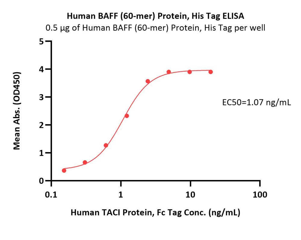 BAFF ELISA