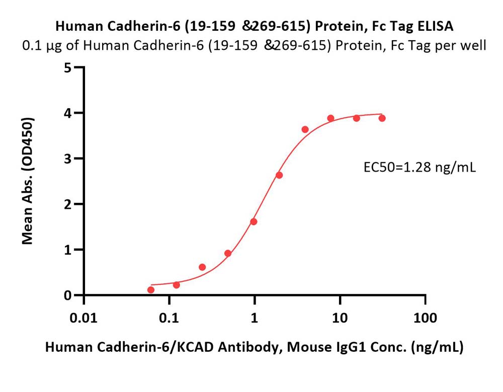Cadherin-6 ELISA