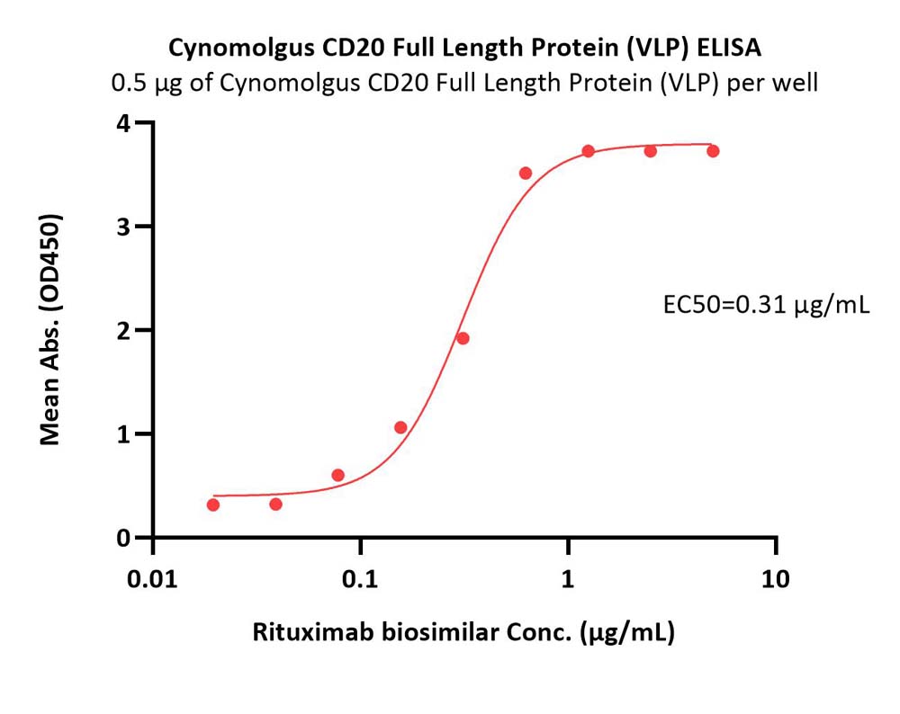 CD20 ELISA