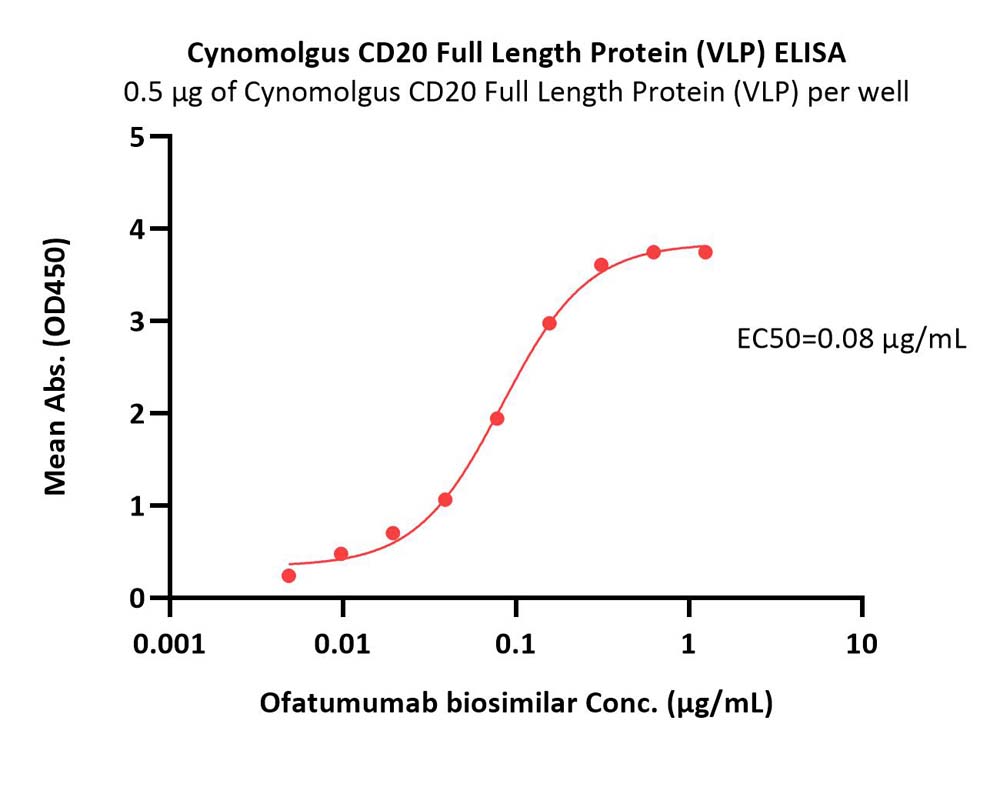 CD20 ELISA