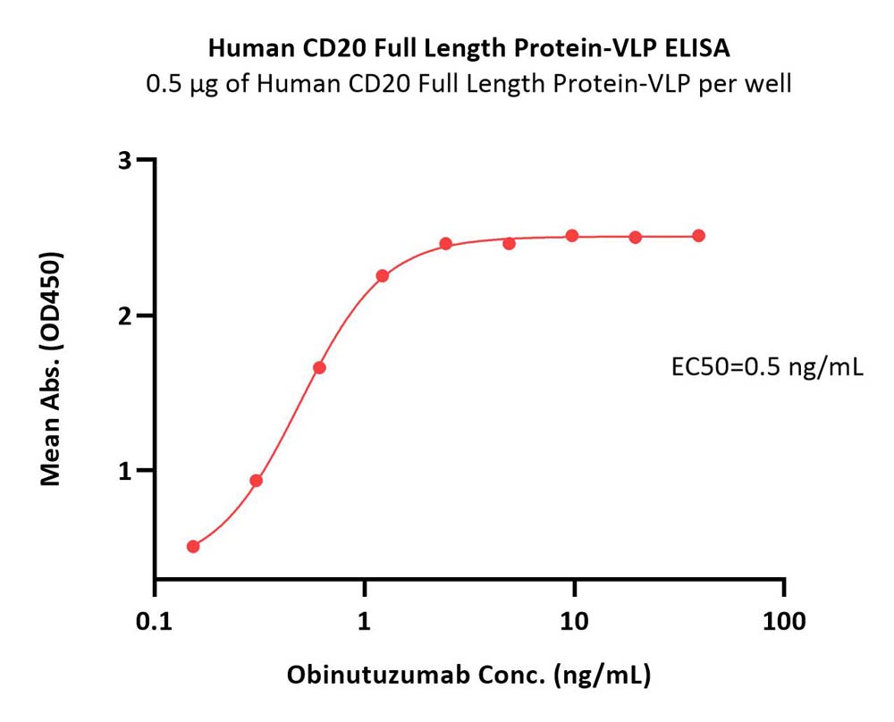 CD20 ELISA