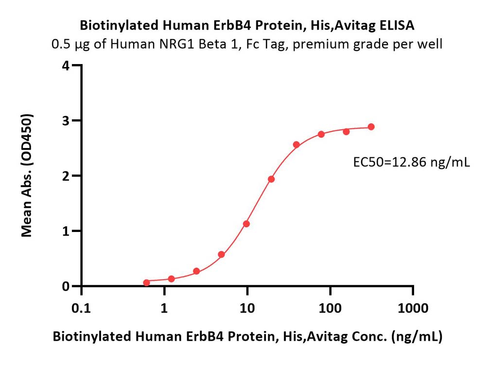 ErbB4 ELISA